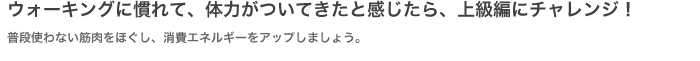 ウォーキングに慣れて、体力がついてきたと感じたら、上級編にチャレンジ！