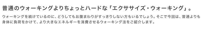 普通のウォーキングよりちょっとハードな「エクササイズ・ウォーキング」。